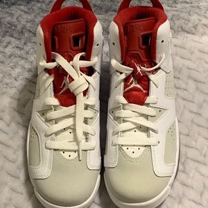 Jordan 6 Retro Alternate Hare